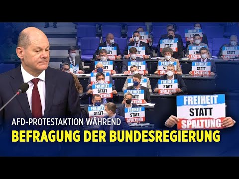 Bundestag: Befragung von Bundeskanzler Olaf Scholz – AfD startet Protest-Aktion