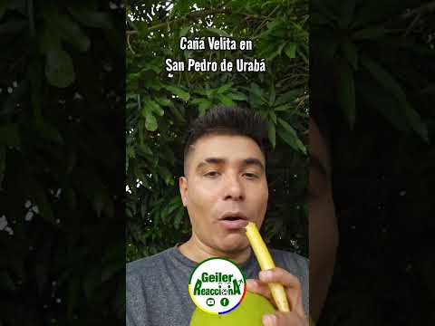 Probé la Velita "Caña dulce" en San Pedro de Urabá