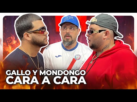 GALLO y MONDONGO se dicen de todo en cara a cara