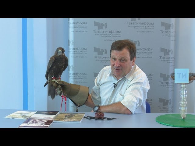 Интервью с Ильдаром Еналеевым о курсах охоты с ловчими птицами и истории соколиной охоты