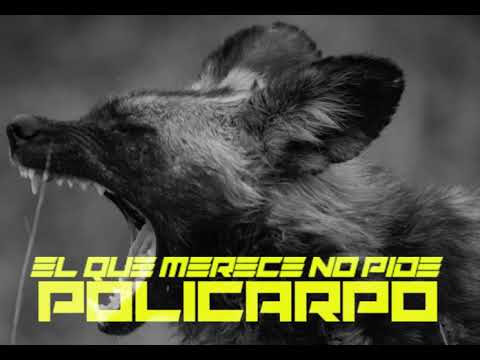 Policarpo - EL QUE MERECE NO PIDE (Prod. JaleoBeats) 750.