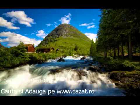 Cazare Poiana Stampei, Suceava - Cazat.ro