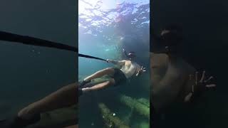 Adventure On The Persian Gulf In Bahrain