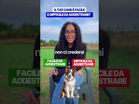 ❌ Queste Razze Sono DAVVERO Difficili da Addestrare? ✅