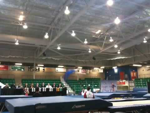 Steven Gluckstein Canada Cup 2009 Team Finals 16.9