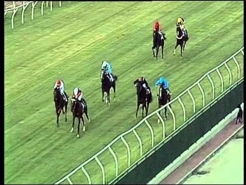 Galoppo 18/07/2015 - 1° corsa