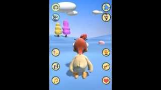 Talking Chicken - Falando Pintainho