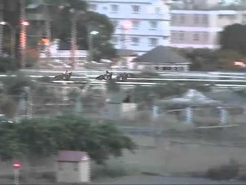 Barrier Trial 24th june 2014 at 6:00am - Dustan, KingsSoldier, RomanManner, Bradwyn