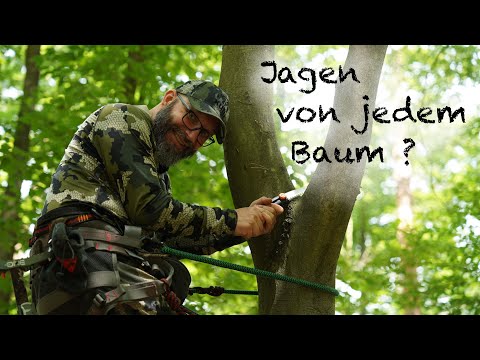 Welche Bäume kann man für die Saddle Jagd nutzen ?