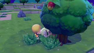 【ぽこあポケモン】間違いない神ゲー クリアの世界 その５　2026/03/08【twitch live】