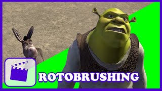 ROTOBRUSHING 101 - How to Make Meme Templates