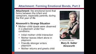 PSY 1002  Lifespan Development Part 2 3