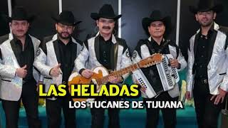 LAS HELADAS los tucanes de Tijuana