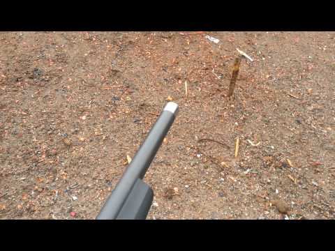 Magnum Research .22 lr with houge stock