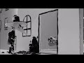 Vulk And Zaptor S Reaction Dog Attacks White Spy Covered With Black Paint