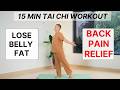 15 Min Gentle Tai Chi For Belly Fat Back Pain Relief BEGINNER FRIENDLY No Jump Workout