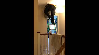 Telescopic loft ladder