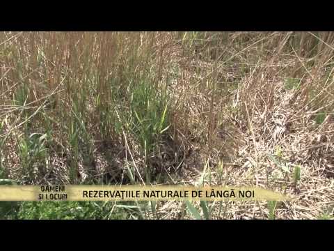 Locuri inedite din judeţul Dâmboviţa