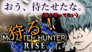 【MHR】片手剣はナマステやろがい
