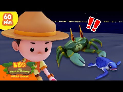🐚 Sturdy Shell Animals! 🦐 Turtles, Crabs & more! 🦀 | Leo the Wildlife Ranger | Kids Cartoons