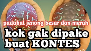 Download lagu KENAPA louhan SRD tidak dipakai buat KONTES ?? ini alasan dan jawabannya mp3 Download lagu KENAPA louhan SRD tidak dipakai buat KONTES ?? ini alasan dan jawabannya mp3