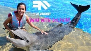 #FiestaMovement: Swim with dolphins! Mission #3