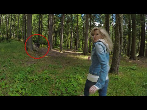 4 Wolf Encounters Way Too Scary To Handle