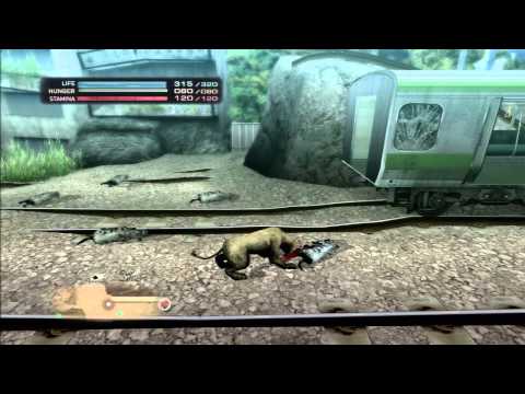 Tokyo Jungle S5 P1 HD - Allergies