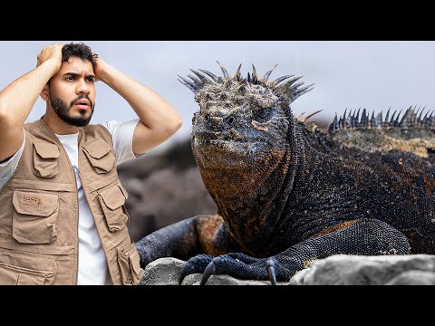 I Arrived at the Island of “MONSTERS” | GALÁPAGOS (2/3)