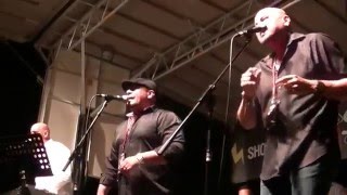 Síntomas del 00260 Great wall