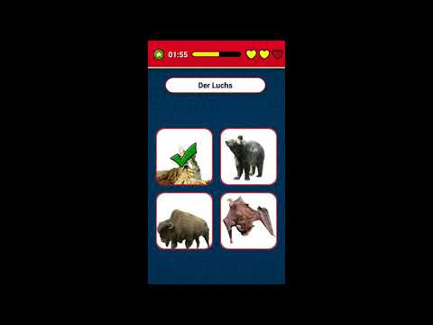 German words with Pictures Video