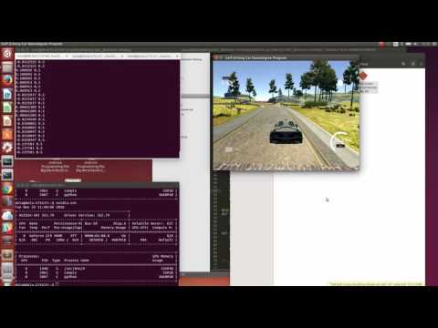 First finish of both tracks