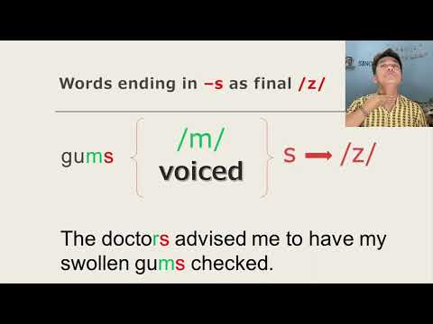 HOW TO PRONOUNCE WORDS CORRECTLY (ENDING IN -S /z/)