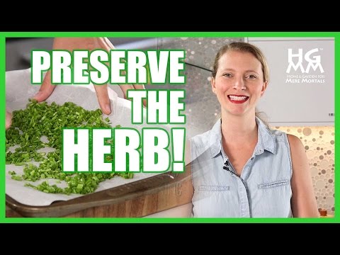 download lagu mp3 mp4 Freezing Fresh Herbs, download lagu Freezing Fresh Herbs gratis, unduh video klip Freezing Fresh Herbs