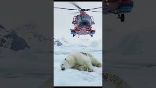 &quot;Frozen in Pain 🥶 | Polar Bear Covered in Barnacles Gets a Second Chance at Life 🐻‍❄️&quot;