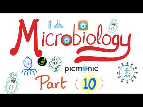 Picmonic Microbiology - Pseudomonas, Proteus & Salmonella - Gram-Negative Rods - Part 10