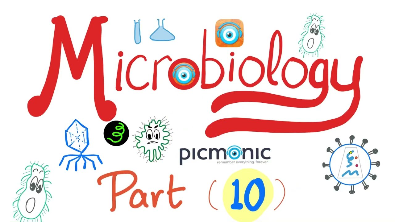 Picmonic Microbiology - Pseudomonas, Proteus & Salmonella - Gram-Negative Rods - Part 10