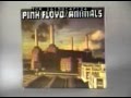 Pink Floyd "Animals" TV commercial from 1977 ...