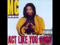 02 Mc Lyte Eyes are the soul 1991