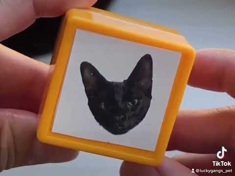 Cute pet custom stamp (portable)