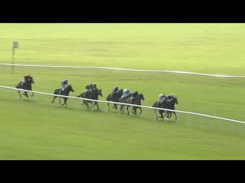 2025 CURRAGH Irish St Leger