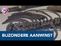 Tentoonstelling Cold Case in Museum Gouda - OMROEP WEST