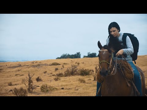 #UnPasoAlFuturo - Al liceo a caballo