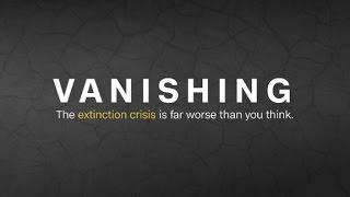 Vanishing: The extinction crisis is worse than you think