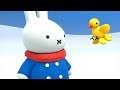 Miffy Miffy And The Bird New Series Episode 03 Miffy S Adventures Big Small