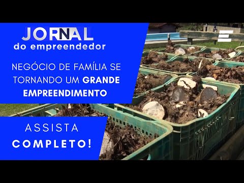 Sebrae/ES apoia a produção de inhame