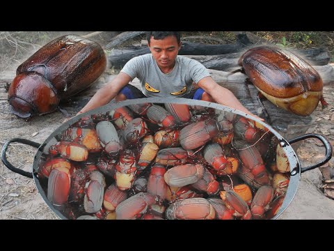 image-What is food bug?