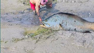 Amazing Traditional & unbelievabl  Fish enclosure By Village People | Primitive System Fishing