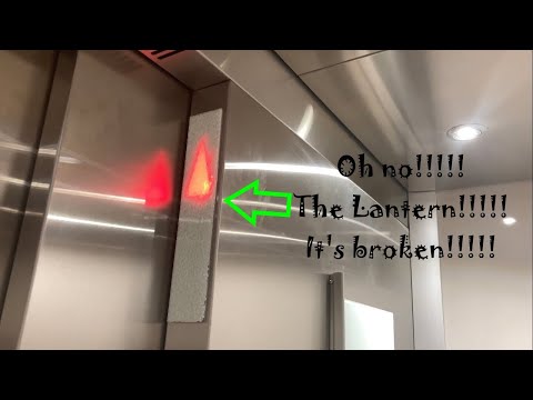 1005. Schindler 3300 MRL Traction Elevator at Cortland Cary - Cary, NC