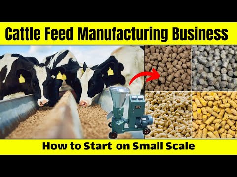 , title : 'How to Start a Cattle Feed Manufacturing Business on Small Scale'